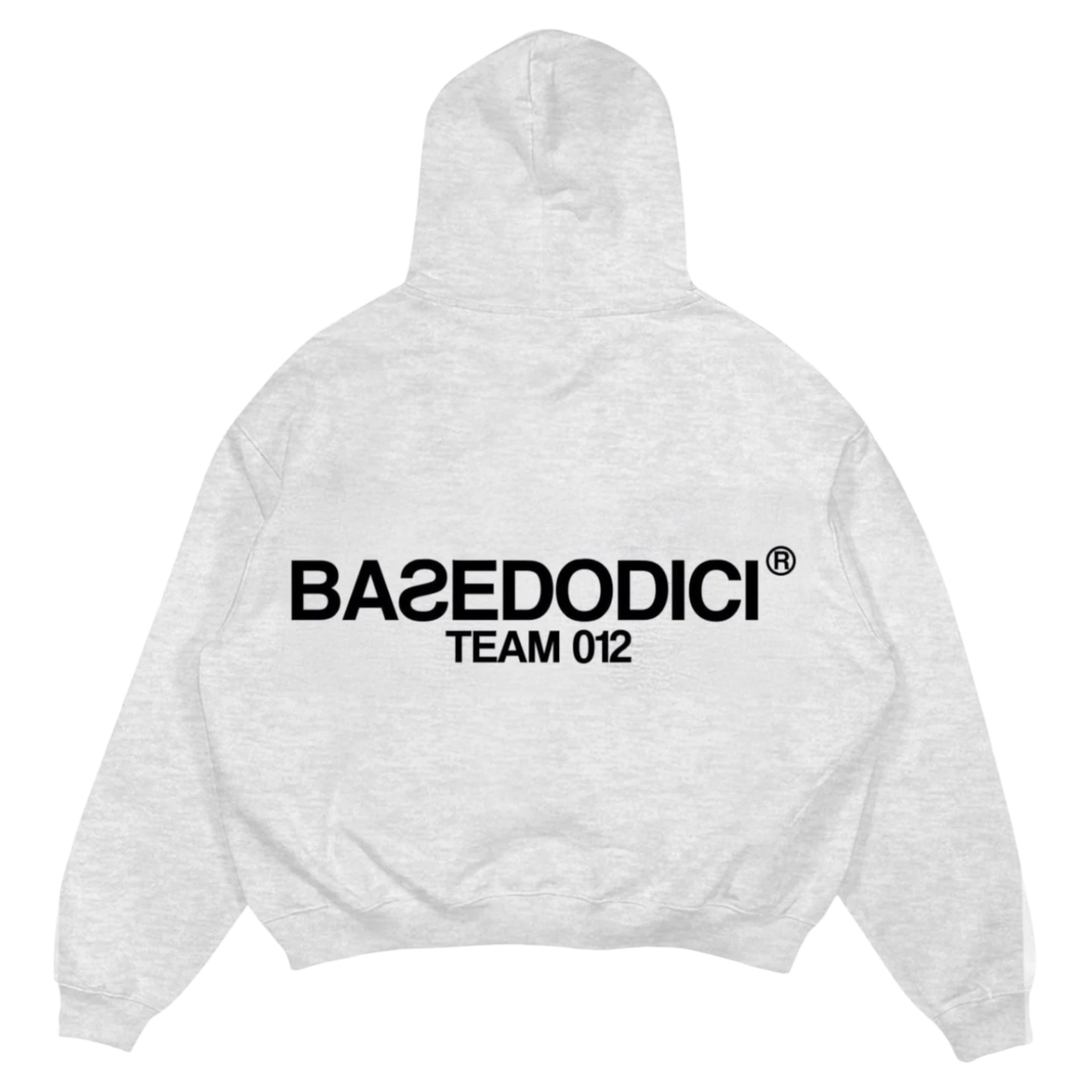 HOODIE TEAM012 ASH GREY