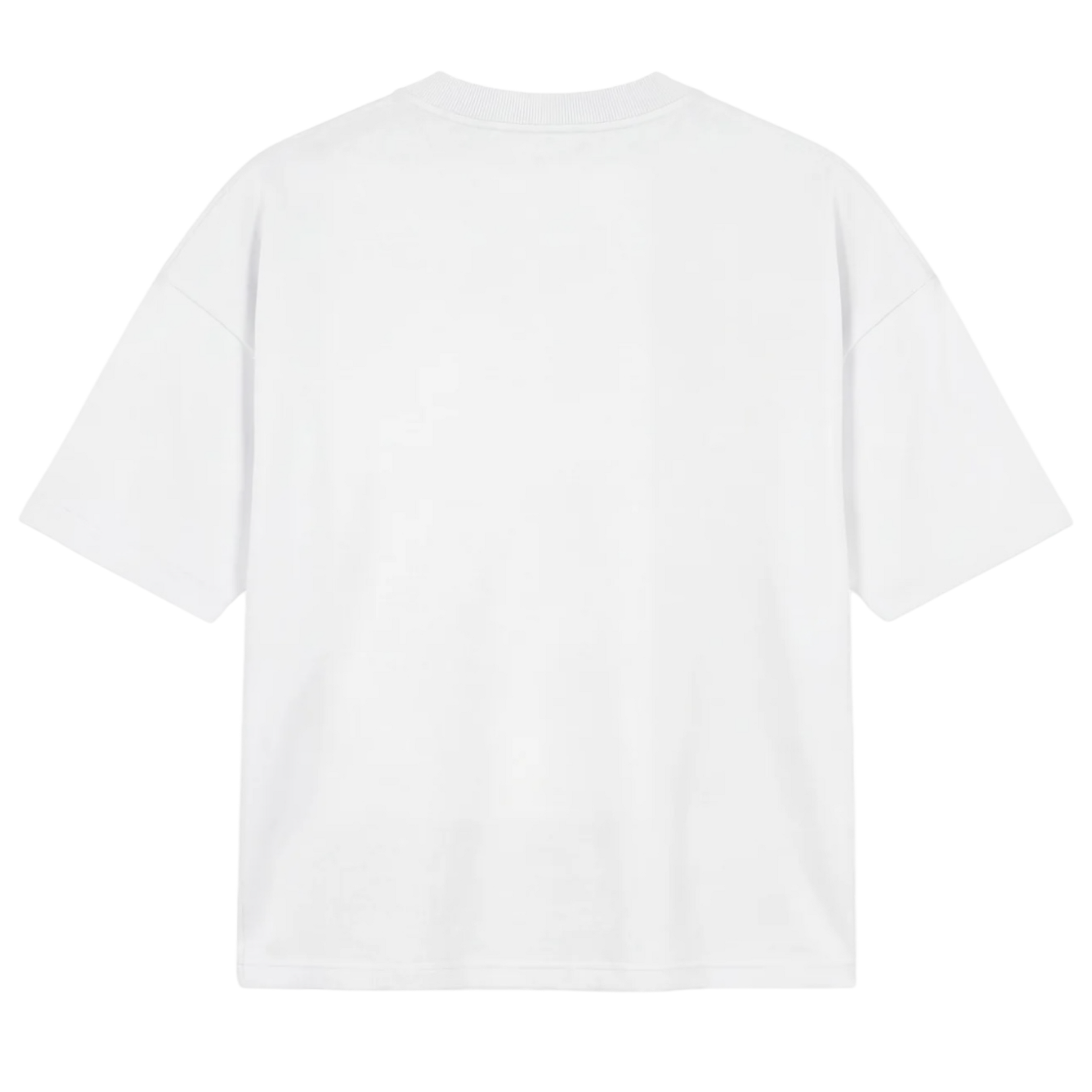 T-SHIRT "LAST DELIVERY" UNIVERSITY WHITE